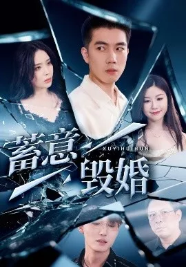 蓄意毁婚海报