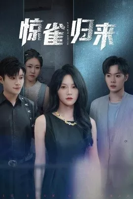 惊雀归来海报