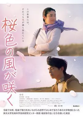 风临樱花开海报