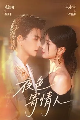夜色寄情人海报