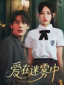 爱在迷雾中海报