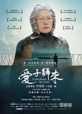 爱子归来海报