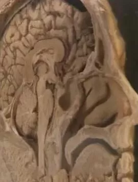 追踪人性之恶海报