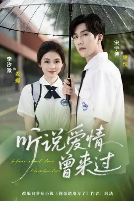 听说爱情曾来过海报