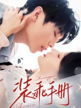 装乖手册海报