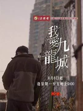 我爱九龙城海报