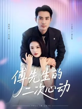 傅先生的二次心动海报