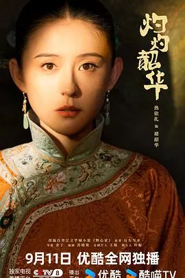 灼灼韶华海报
