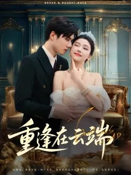 重逢在云端海报