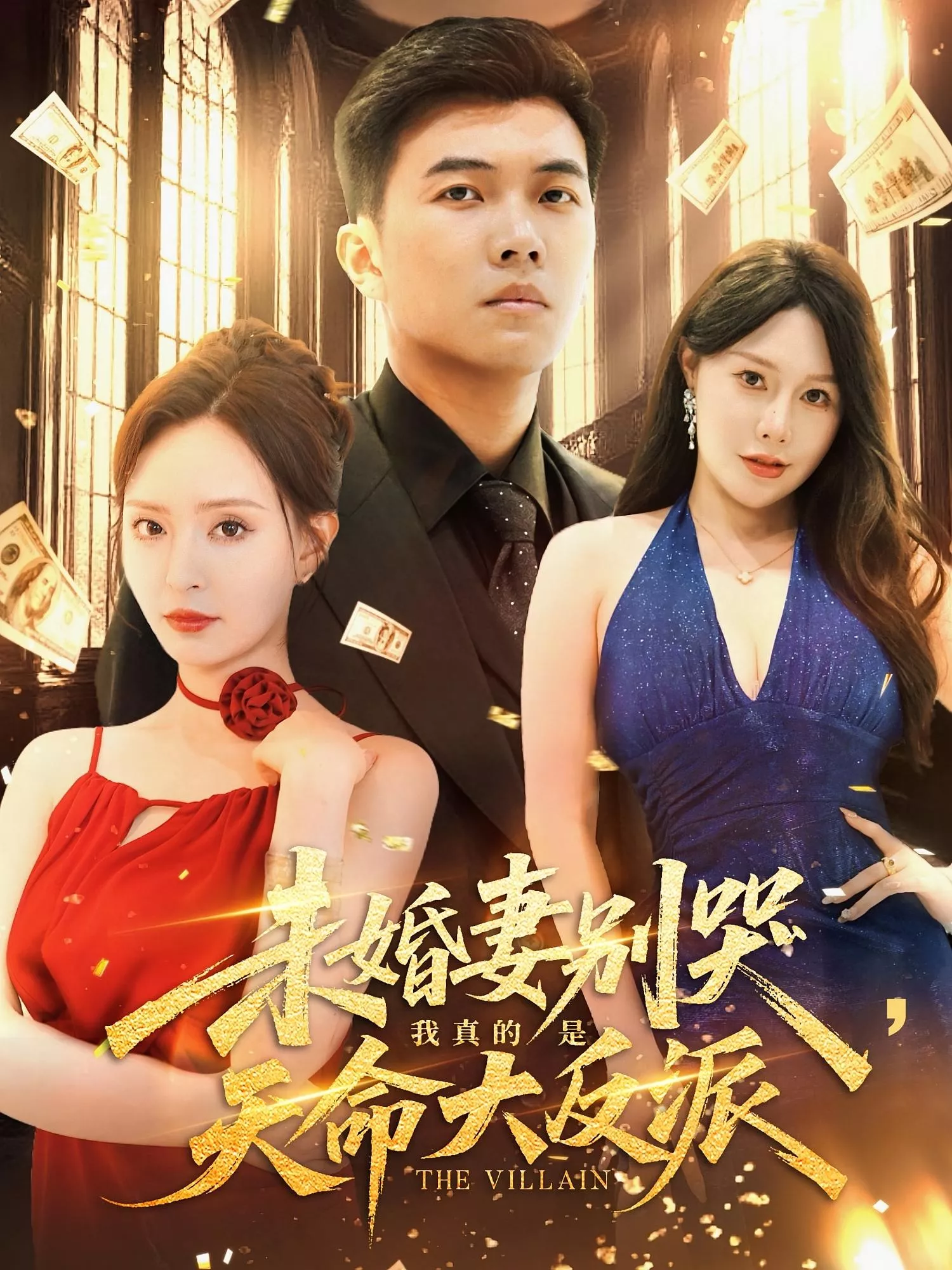 未婚妻别哭我真的是天命大反派海报