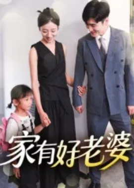 家有好老婆海报