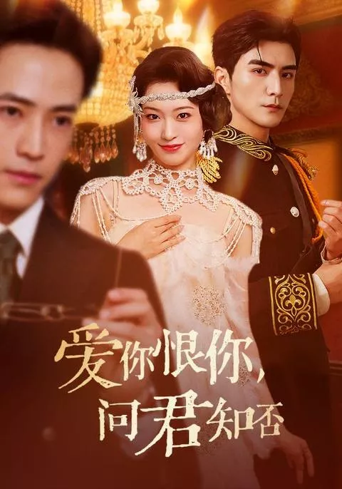爱你恨你问君知否海报