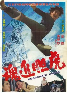 虎追魂海报