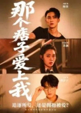 那个痞子爱上我海报