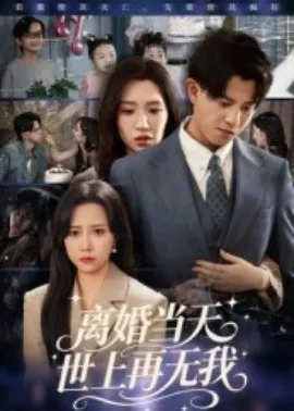离婚当天世上再无我海报