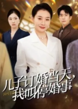 儿子订婚当天，我叫停婚事海报