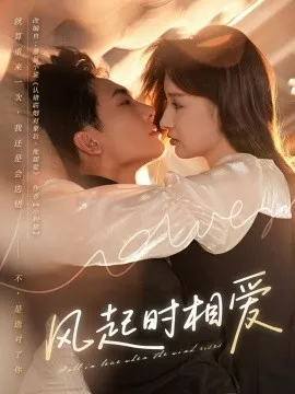 风起时相爱海报