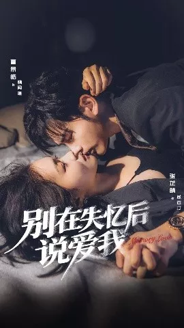 别在失忆后说爱我海报