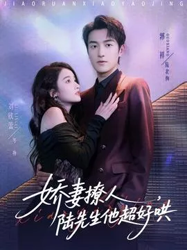 娇妻撩人，陆先生他超好哄海报