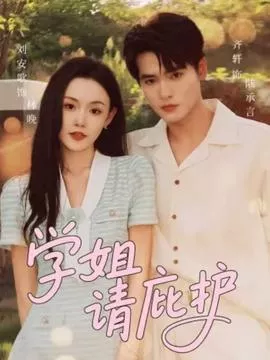 学姐请庇护海报