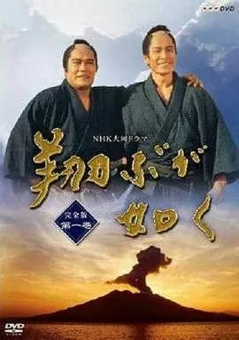 宛如飞翔海报