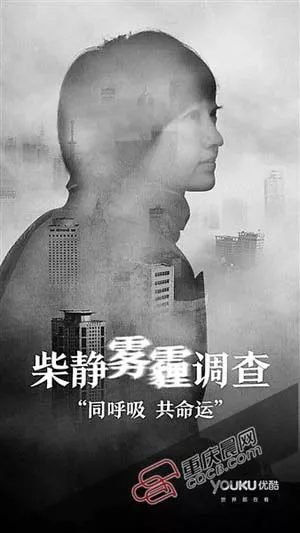 柴静雾霾调查穹顶之下海报