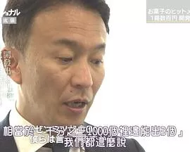 Professional-职业人的作风零食开发人小林正典海报