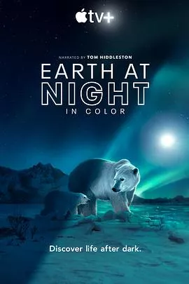 夜色中的地球第2季海报