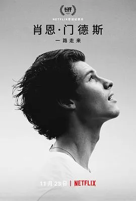 肖恩·门德斯一路走来海报