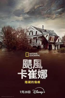 飓风卡特里娜隐藏的伤痕海报