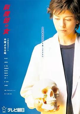 科搜研之女第4季海报