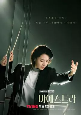 大指挥家弦上的真相海报