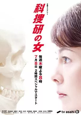 科搜研之女第10季海报