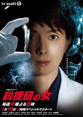 科搜研之女第12季海报