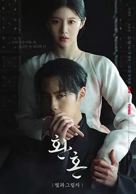 还魂2光与影海报