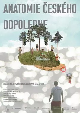 捷克午后的剖析海报