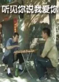听见你说我爱你海报