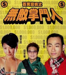 百万富翁之无敌掌门人海报