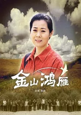 金山鸿雁海报