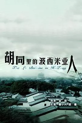 胡同里的波西米亚人海报