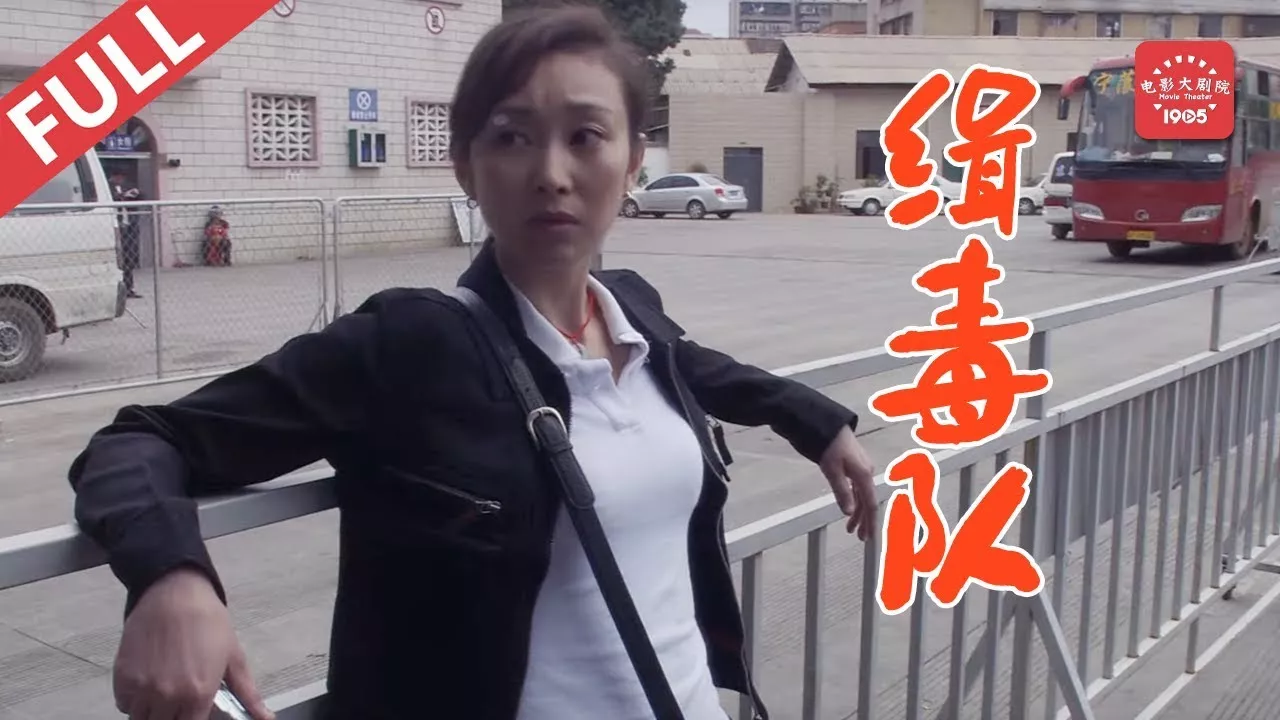 缉毒队海报