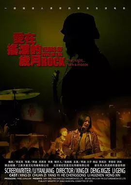 爱在摇滚的岁月海报