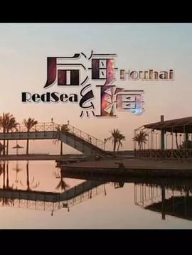 后海·红海(2018)海报