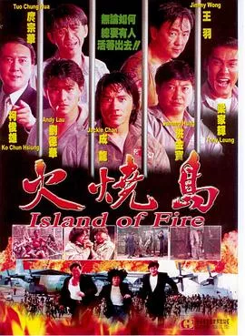 火烧岛1991海报