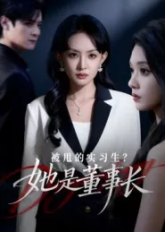 被甩的实习生？她是董事长海报