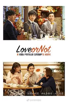 LoveorNot海报