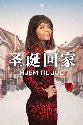 圣诞寻伴第三季海报