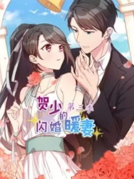 贺少的闪婚暖妻动态漫第3季海报