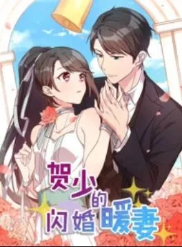 贺少的闪婚暖妻动态漫第1季海报