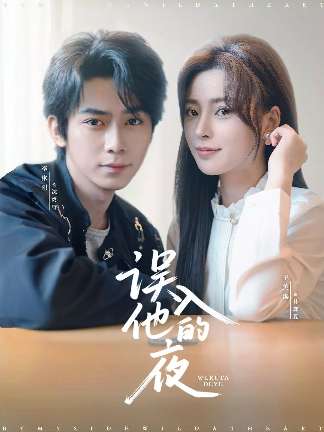 误入他的夜（烬夏危情）海报